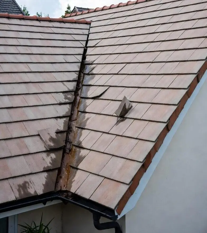 Wanstead Roofers 2 Common Roofing Problems in Wanstead