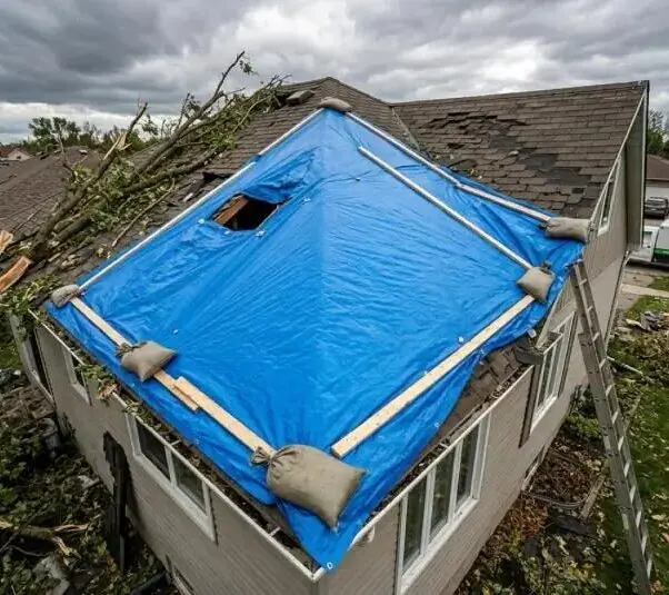 Emergency Roofers in Redbridge