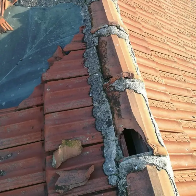Roof Repair or Replacement