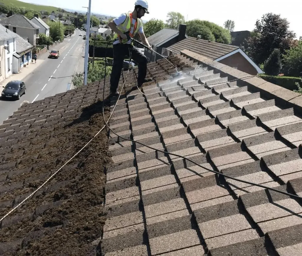 Signs Your Roof Needs Cleaning